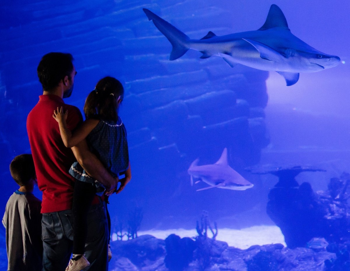 Atlantis Aquarium Madrid